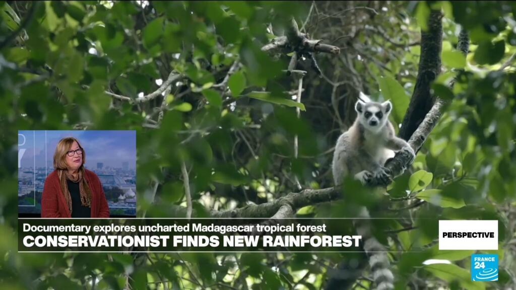 Ecologist Patricia Wright on finding a new rainforest in Madagascar